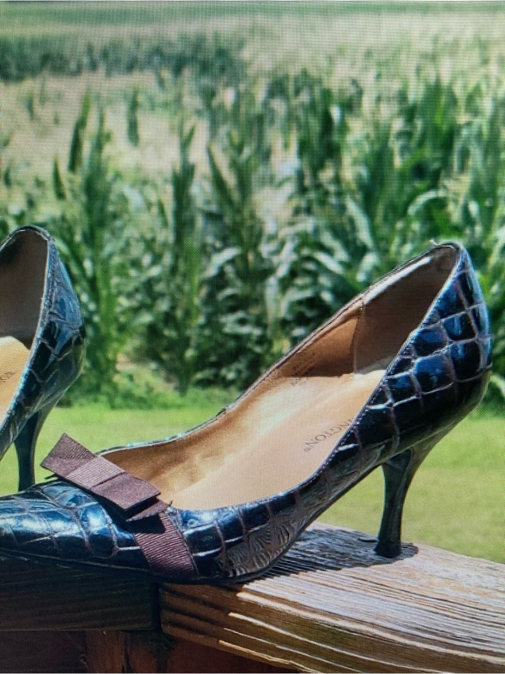 Blue Croc-Textured Kitten Heel Pumps with Bow